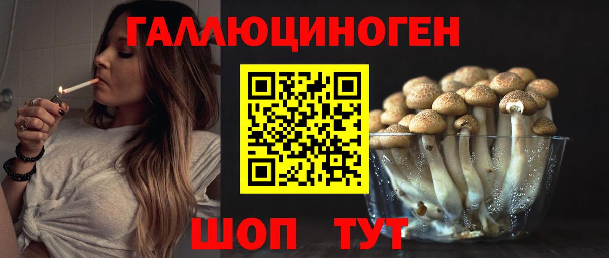 Галлюциногенные грибы MAGIC MUSHROOMS  Вход с VPN  Сердобск 